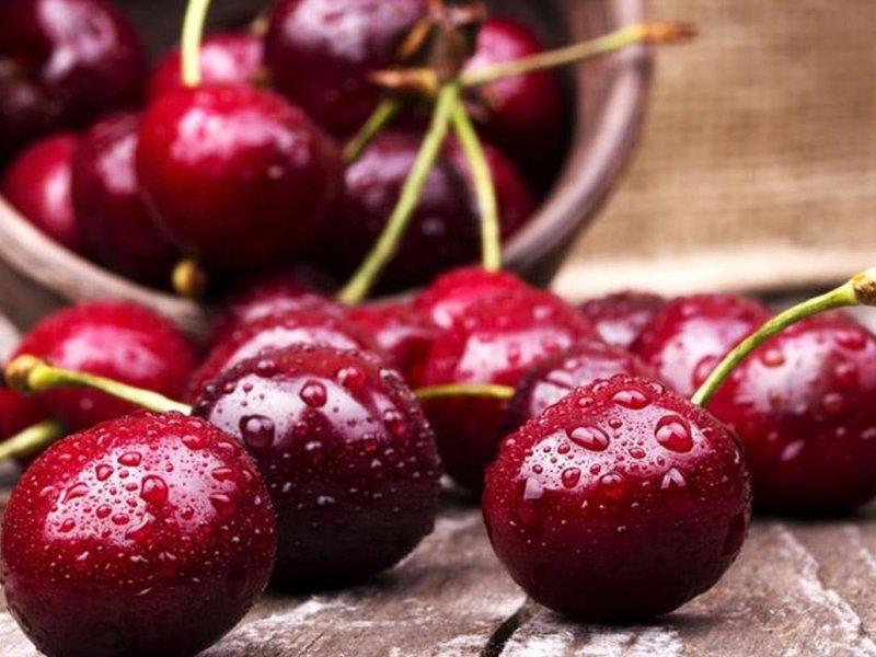 Вишня купить саженцы из питомника в Саратове